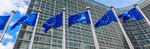 欧盟的新数字酋长被MEPS烧烤，但避免了有争议的问题