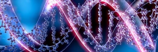 大数据平台加速DNA分析
